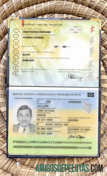 Passaporte do Quênia (presente em 2017) Visual fotográfico modelo